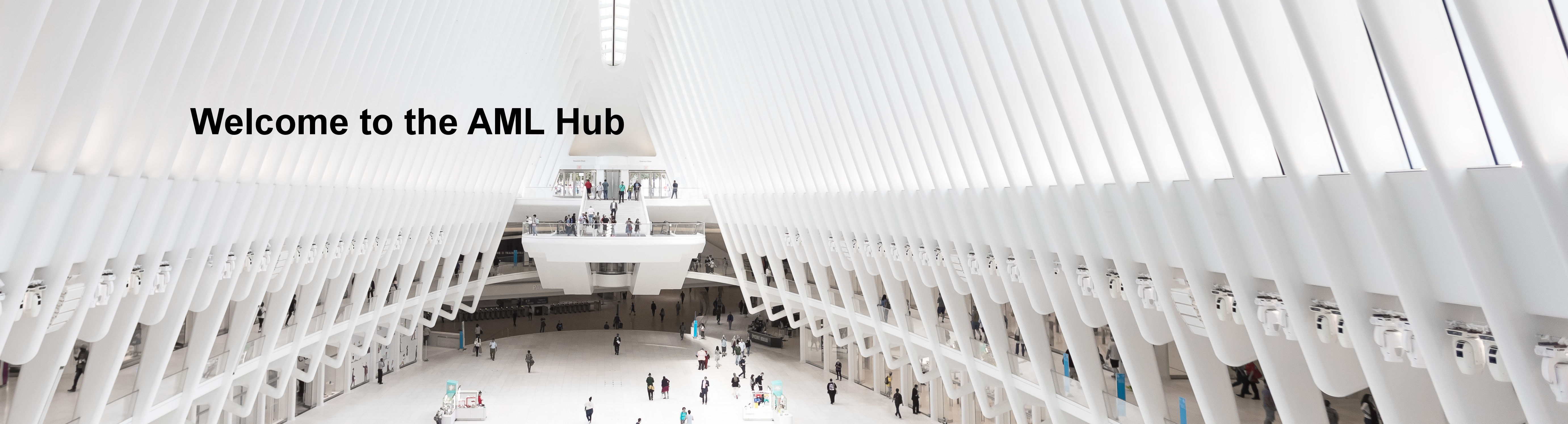 Slide: Welcome to the AML Hub - a photo of a central hub in a building